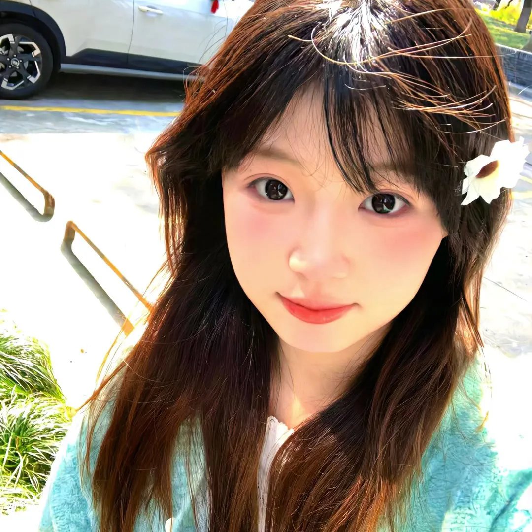 石榴花开